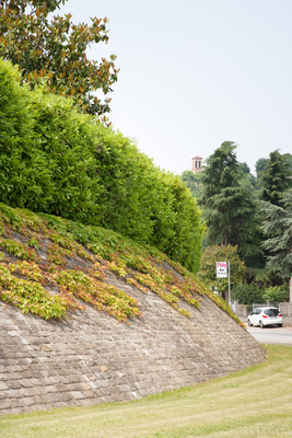 019 Muro in Pietra di Langa 02.jpg